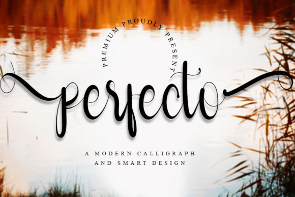 Perfecto: A Whimsical Script Font